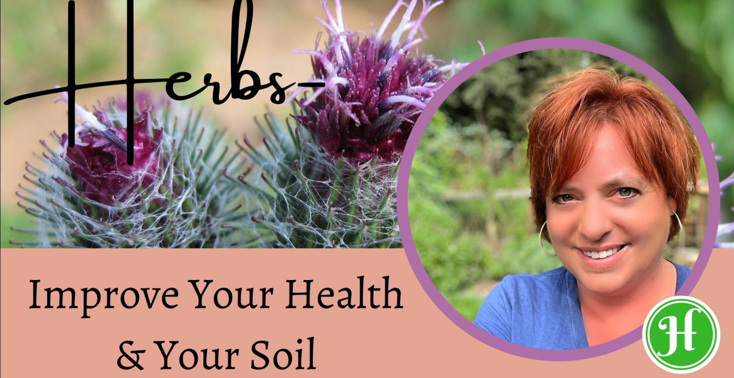 7 Herbs to Improve Your Health and Your Soil