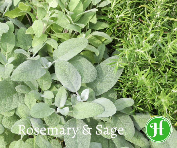 Sage Pairings