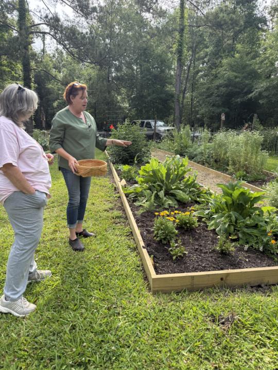 Pairing herbs in the garden 