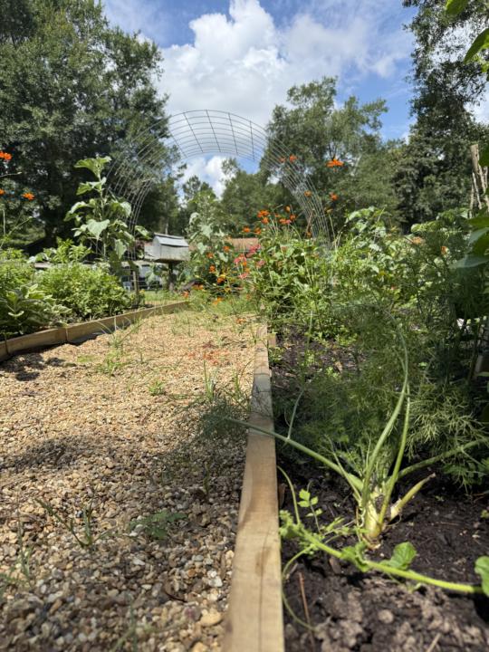 Let’s see some pictures of your plants!