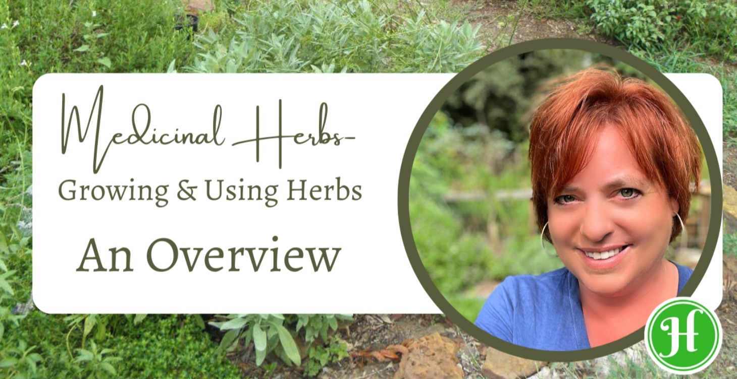 Growing & Using Herbs 101