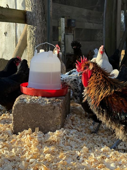 New things are happening!