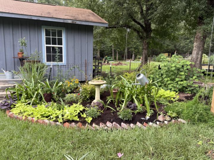 What did you do in the garden this weekend?