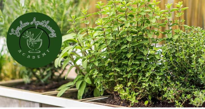 Garden Apothecary Academy
