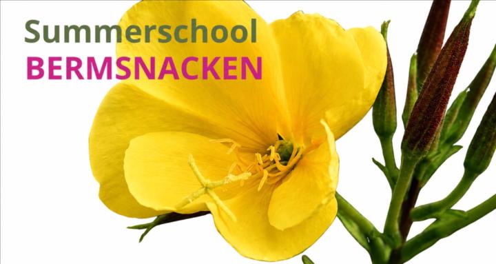 Bermsnacken Summerschool