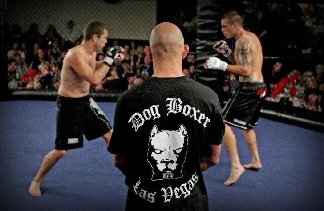 Lance Foreman DogBoxer