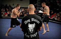 Lance Foreman DogBoxer