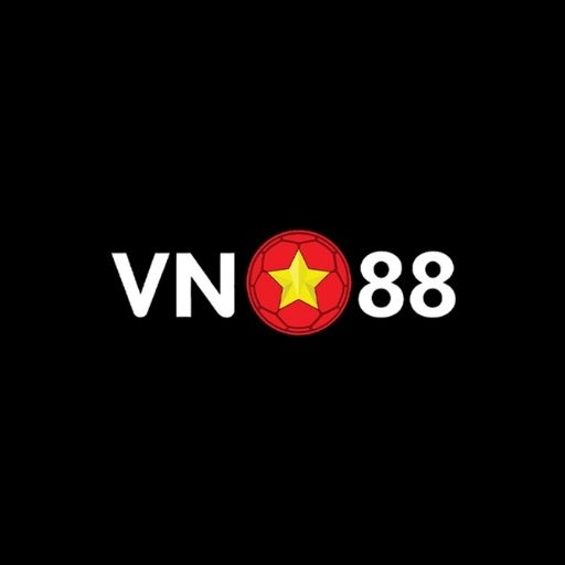Vn Foundation