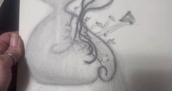 The Twin Flame Journey
