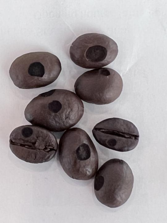 Why my bean got tipping ?