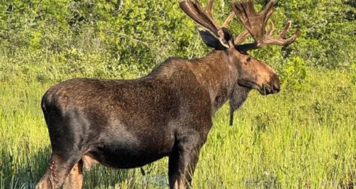 Wilderness Treasures and Finds