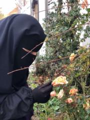 Dja daouadji Amira hasna