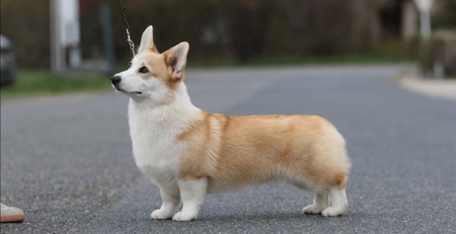 Foundations of Functional Structure