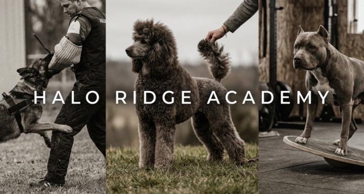 Halo Ridge Academy