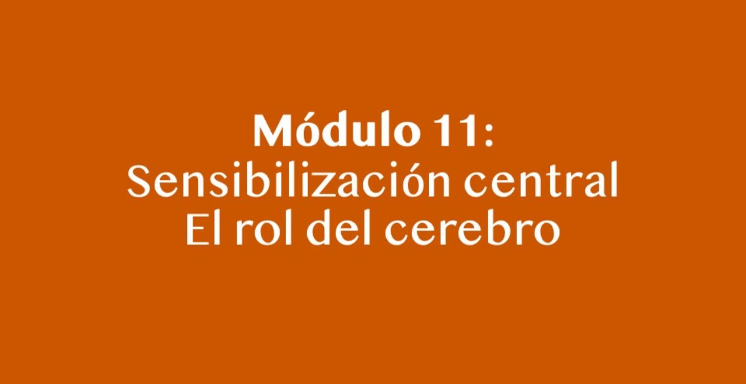 Sensibilidad central: El rol del cerebro