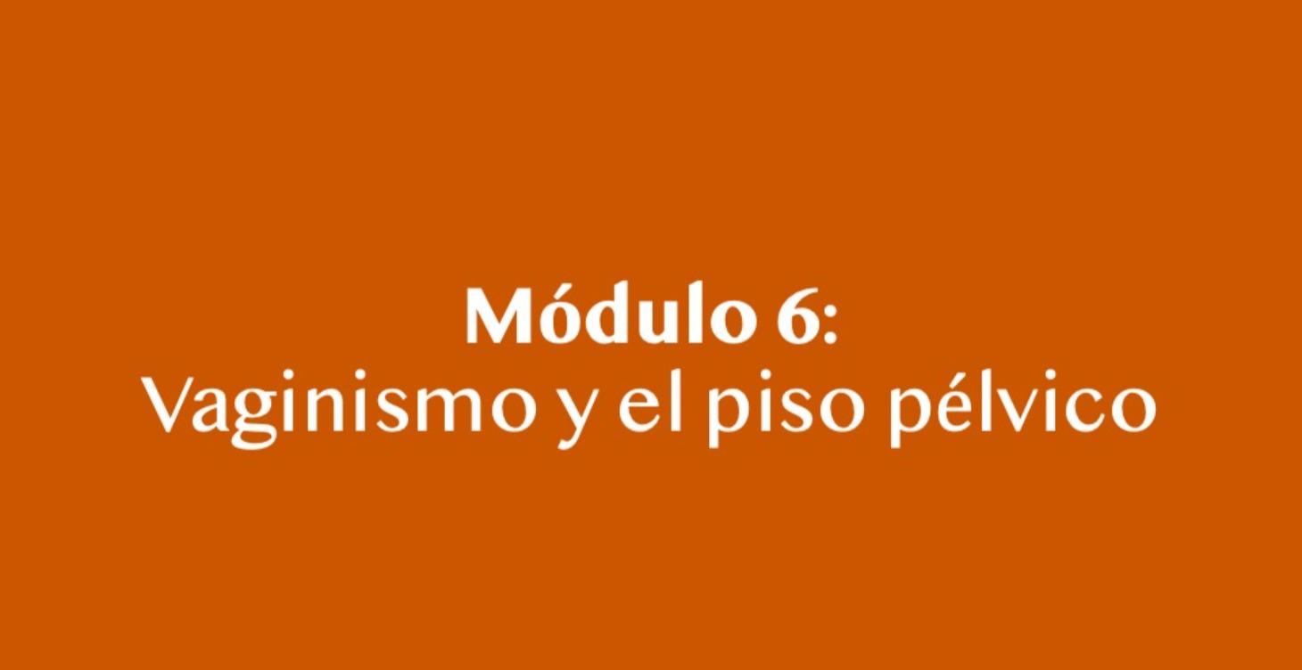 Vaginismo y el piso pélvico