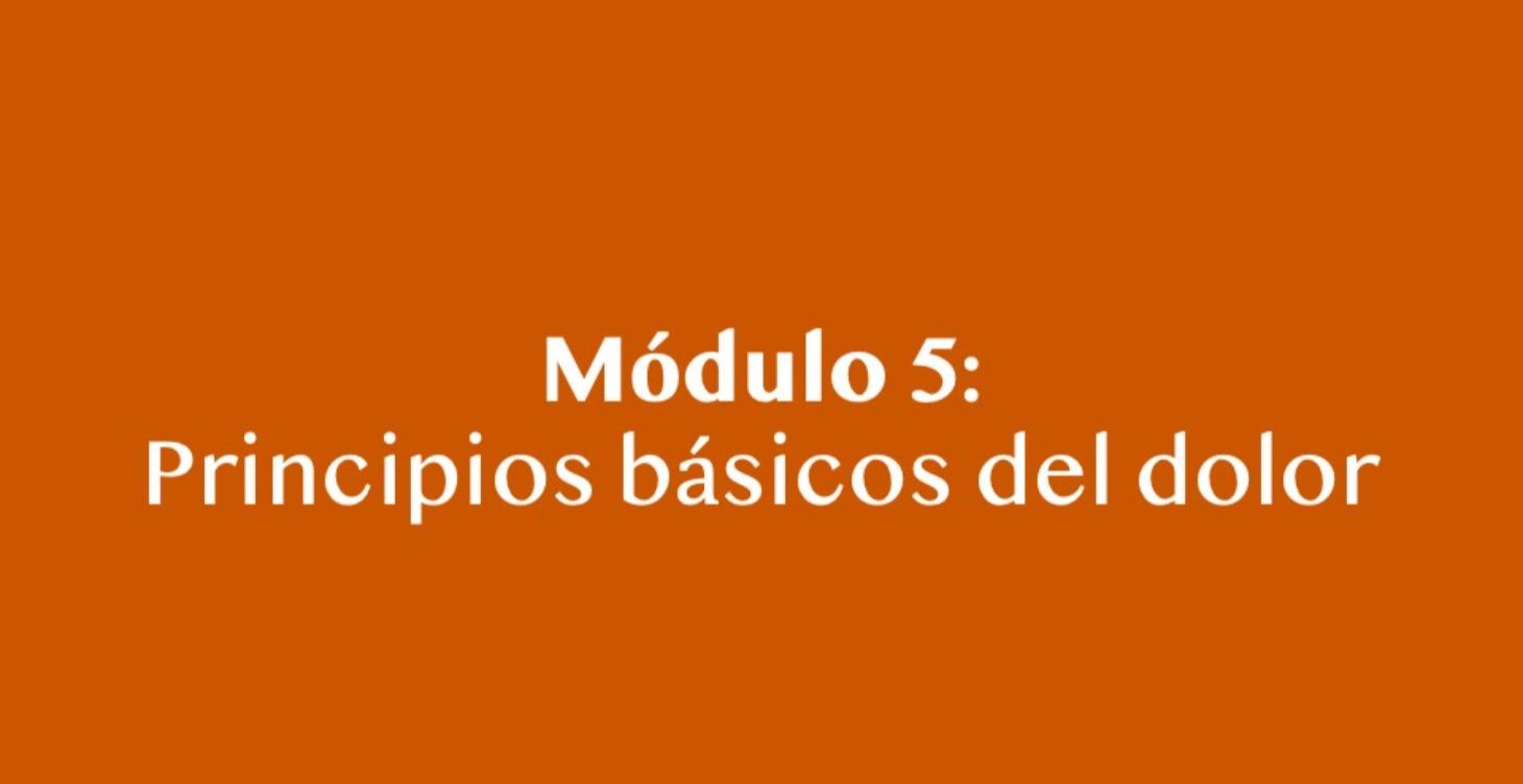 Principios básicos del dolor