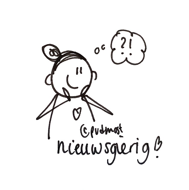 Pien van der Most