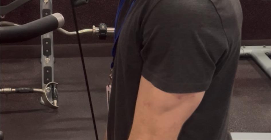 The Training Logic: Form, Fuel, & Function