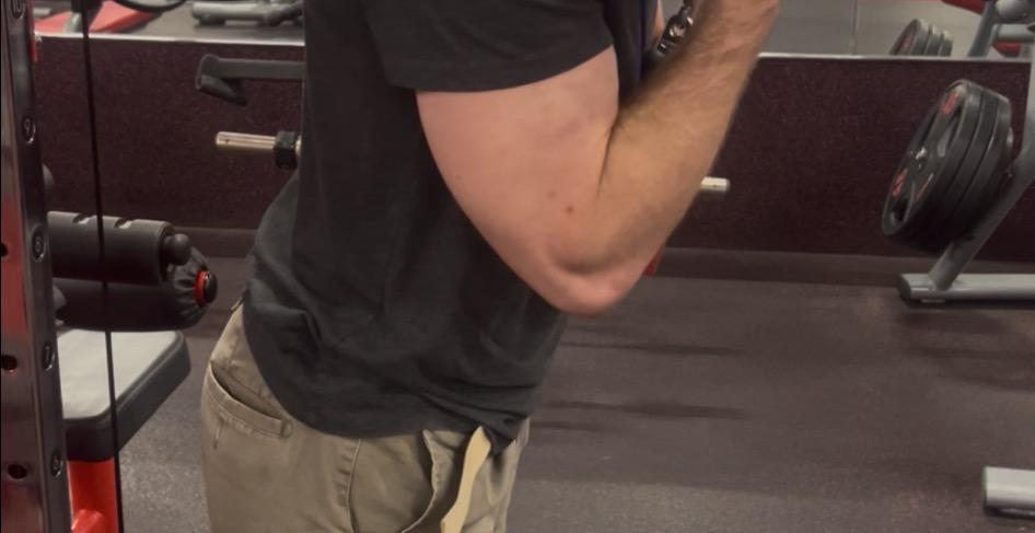 The Vault: Pure Movement Library