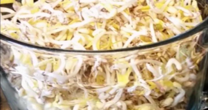 Alternative Health Options