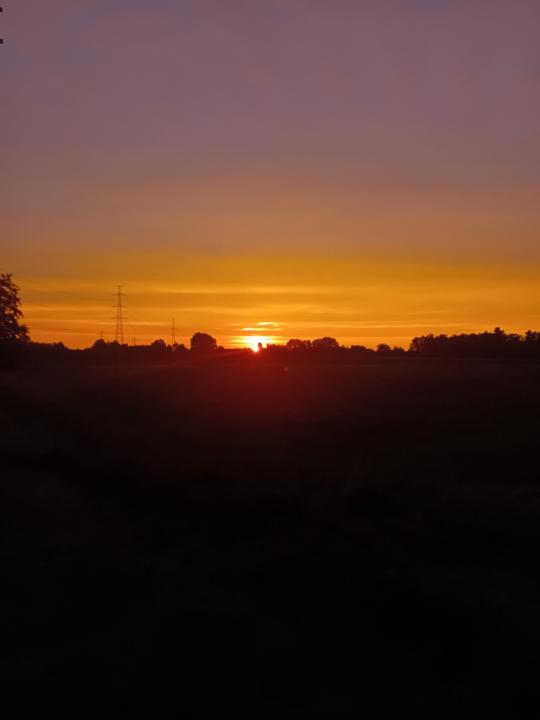 Juliette Van Mieghem