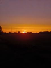 Juliette Van Mieghem