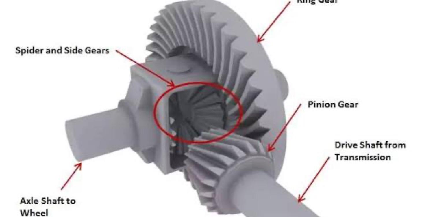 Differential Spider Gears