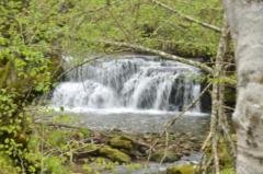 Araceli Ortega Rivero