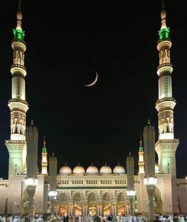 Ayan Ali