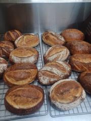 Quality BiteBakehouse