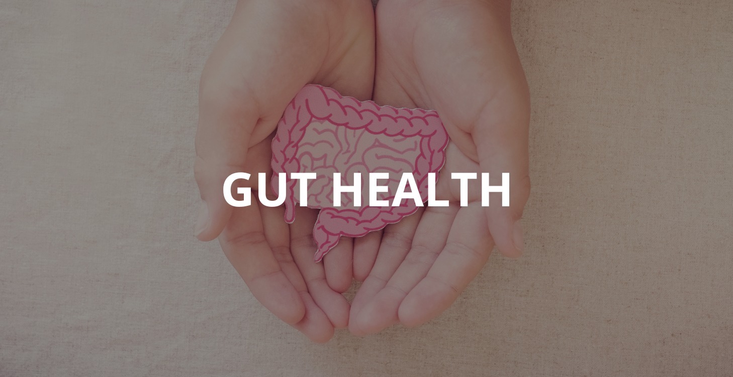 Gut Health