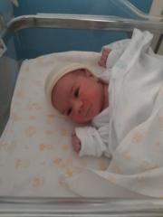 Sophia Leila Nagle perez