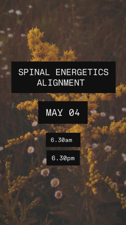  5 days until our Spinal Energetics Alignment call