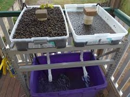 Free Aquaponics Course - Build Your First System