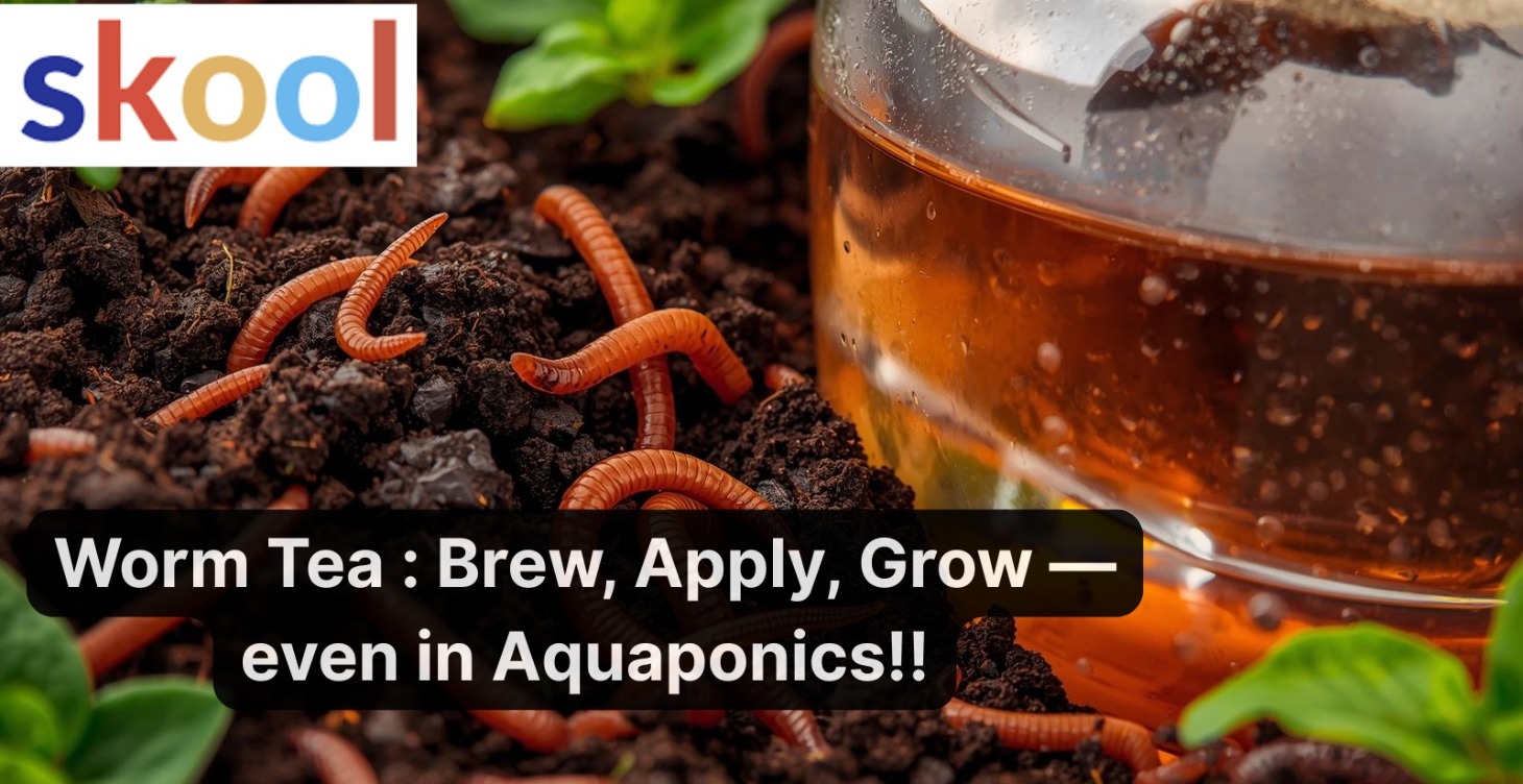 Worm Tea : Brew, Apply, Grow — even in Aquaponics