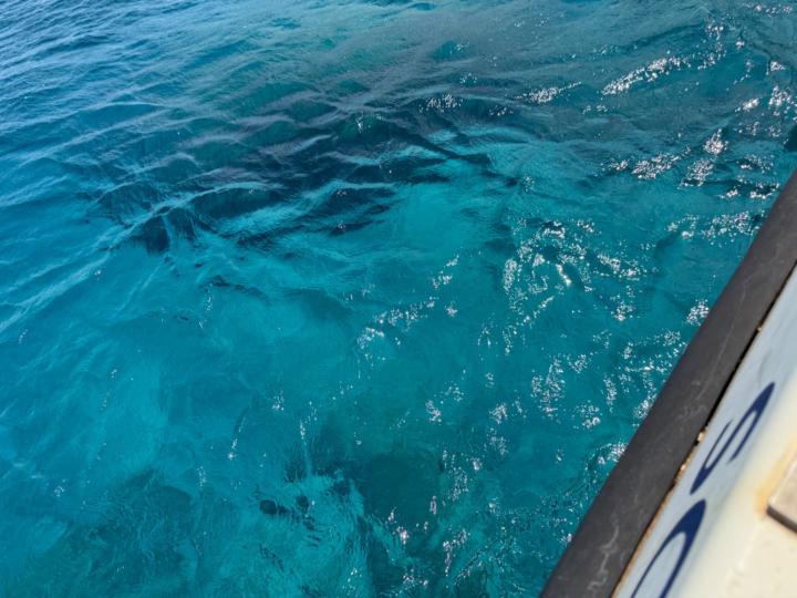 Beata Muskatalné Mihalek