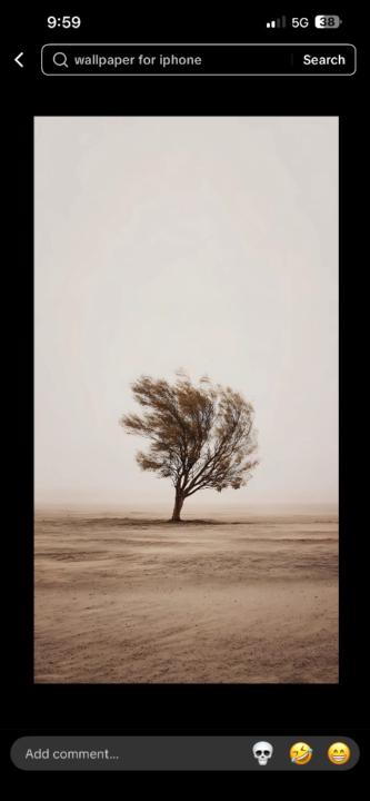 Jesse Harrison