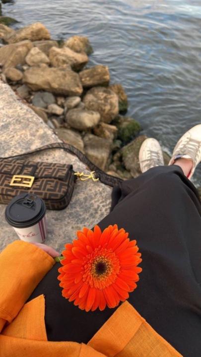 Sara Alrashed