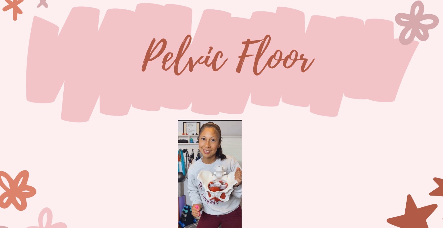 Pelvic Floor Education