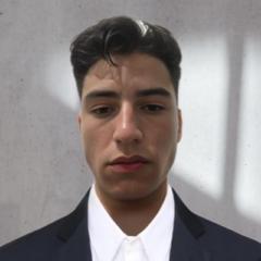 David Narvaez