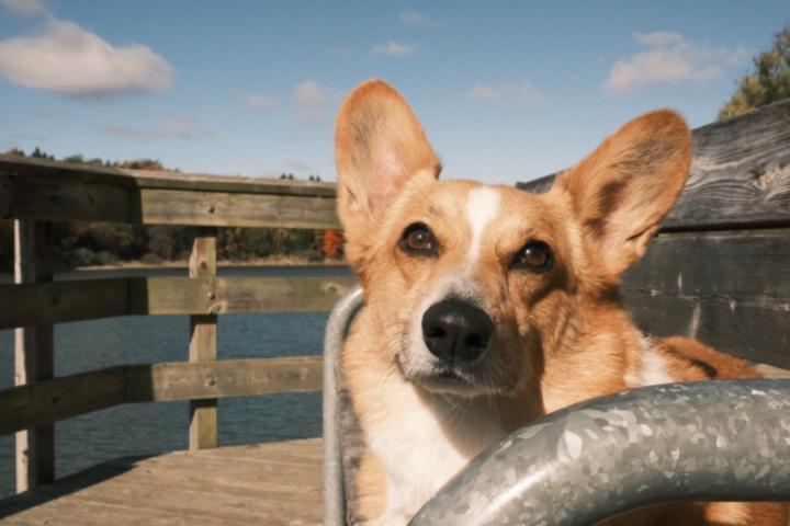 Cristian Galarza-Villamarin