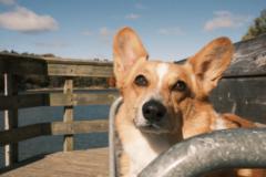 Cristian Galarza-Villamarin