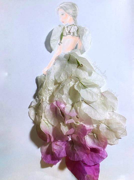 Lin Delphinus