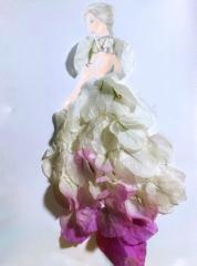 Lin Delphinus