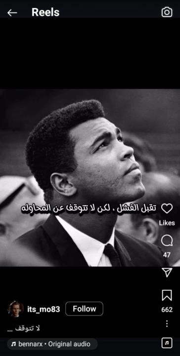 Alaa Willy