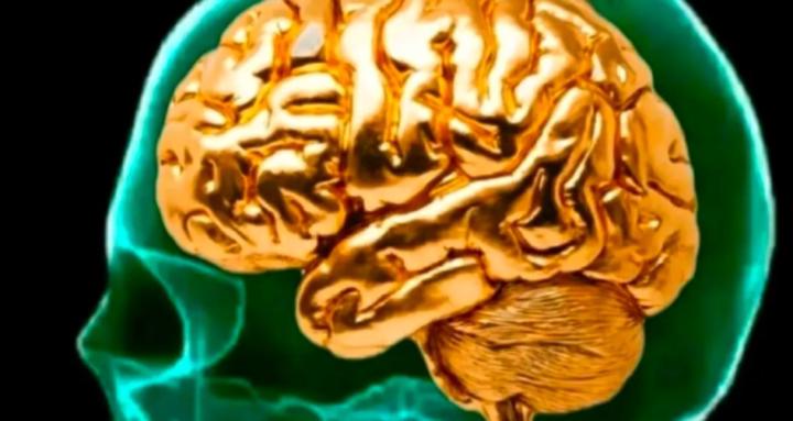 The Limitless Life Blueprint