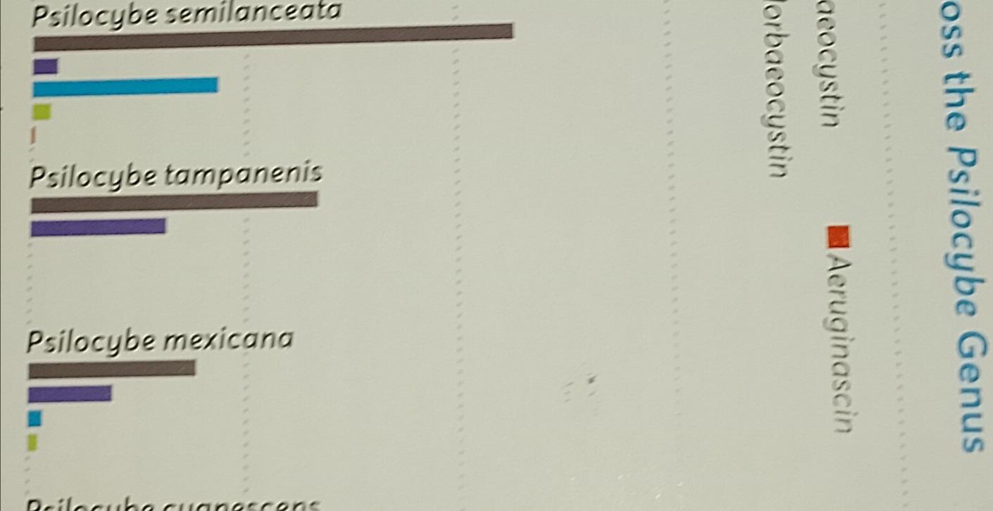 Strains, which to choose?