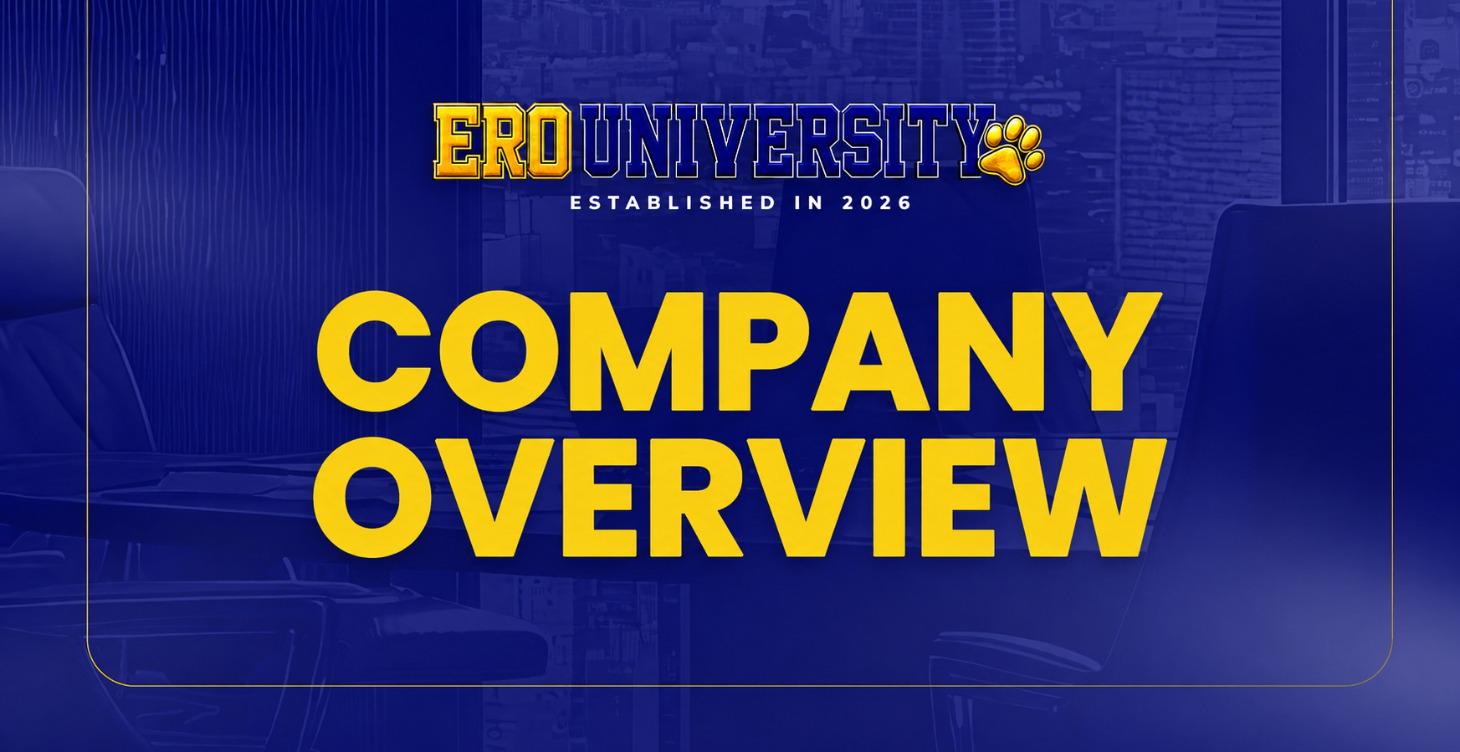 3.3 COMPANY OVERVIEW