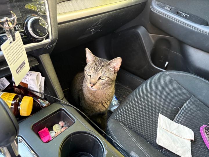 Kristin Reichardt Kirwan